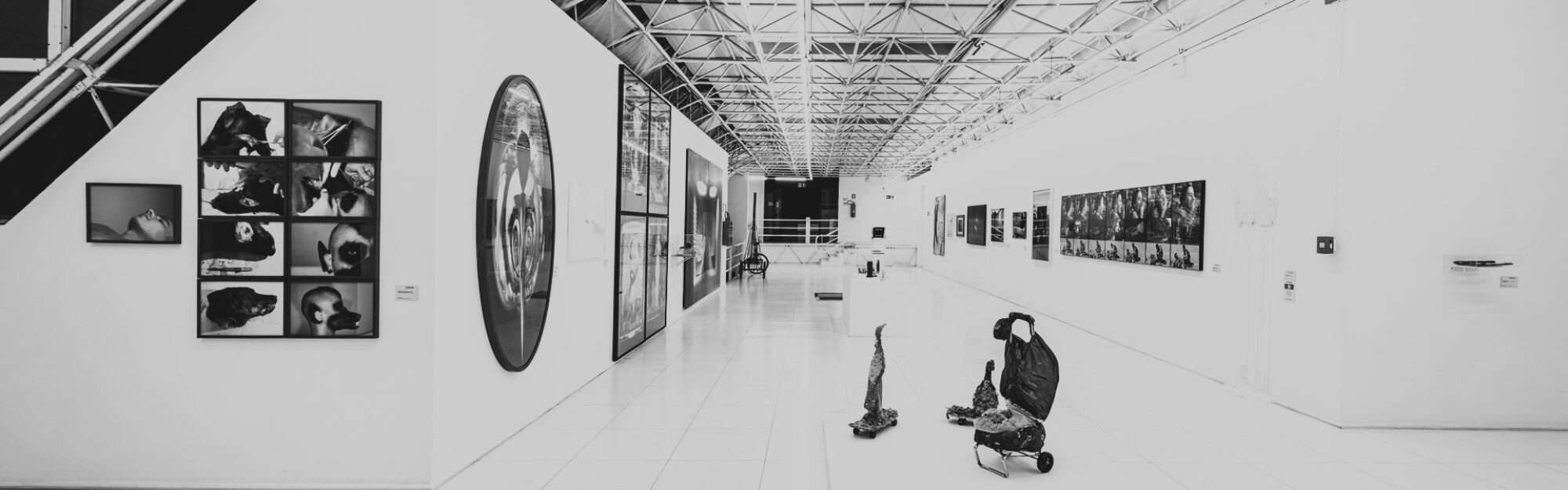 cropped-GalXicoStockinger_210604_175031__VivaFoto2